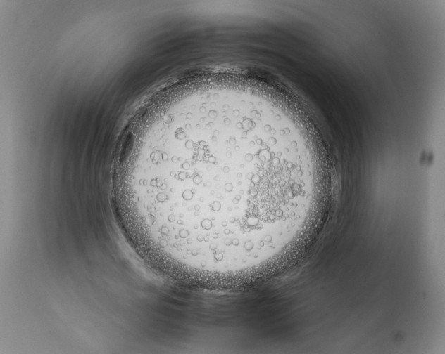 X0000112370725200909241149