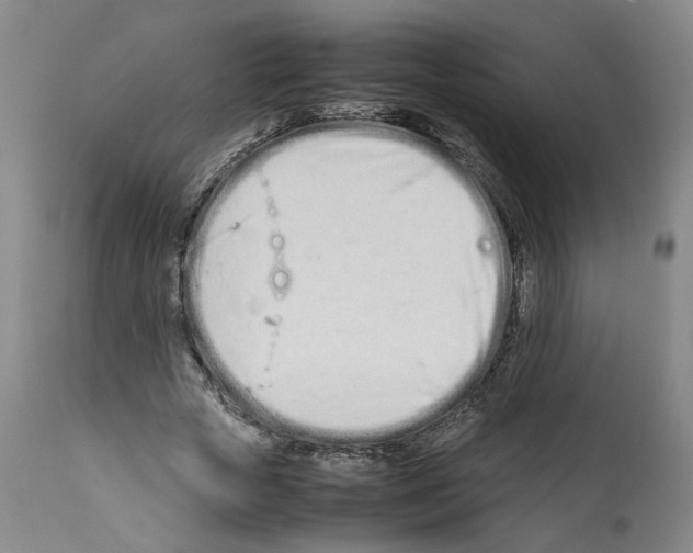 X0000112370729200909241149