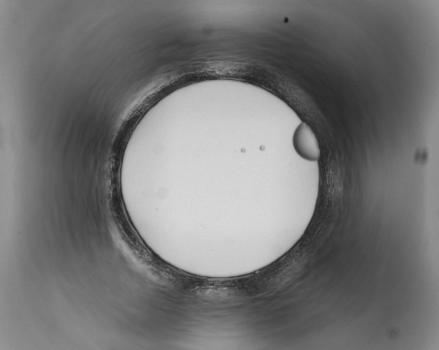 X0000112370730200909241149