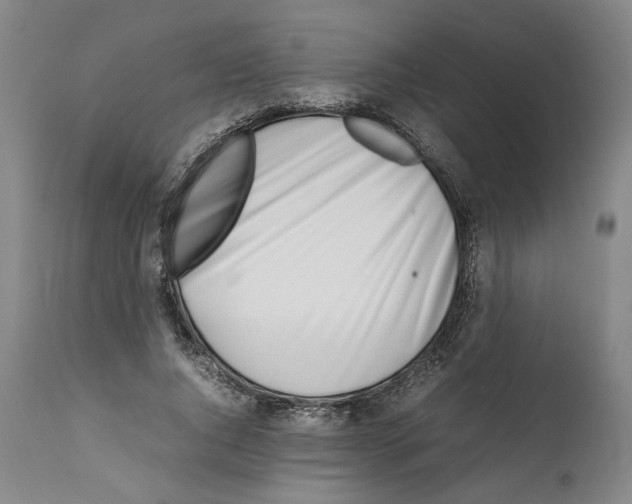 X0000112370736200909241149
