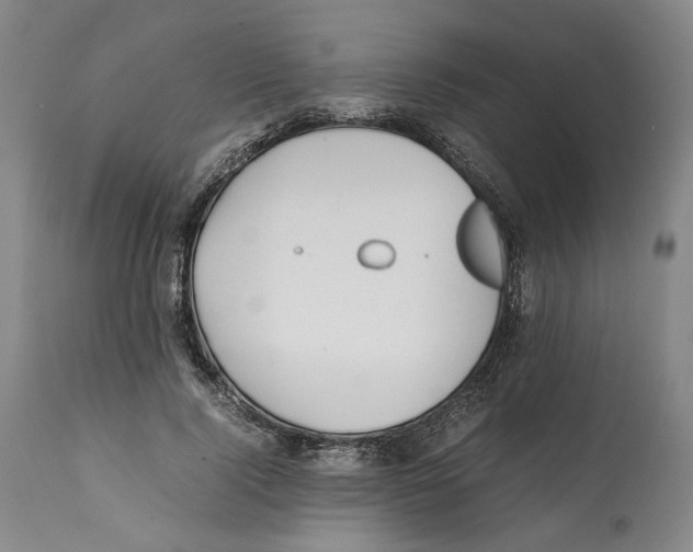 X0000112370740200909241149