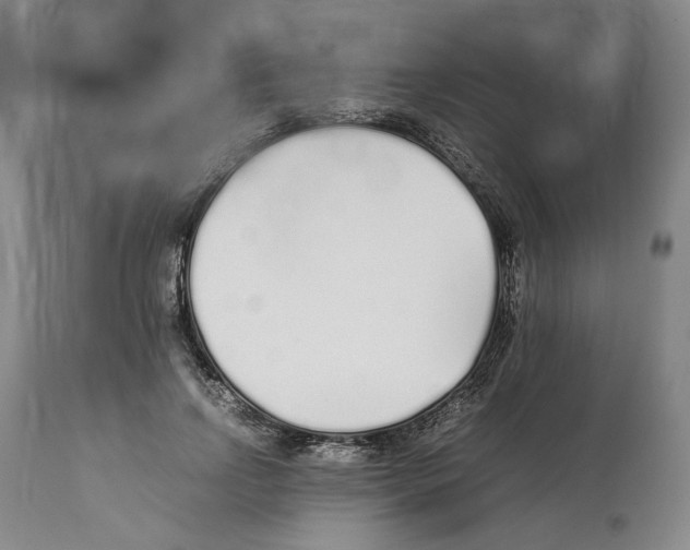 X0000112370742200909241149