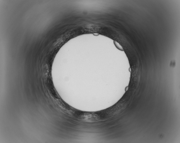 X0000112370752200909241149