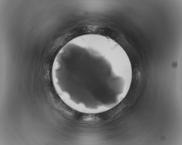 X0000112370754200909241149