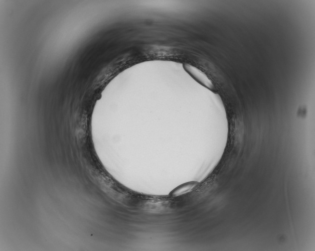 X0000112370760200909241149