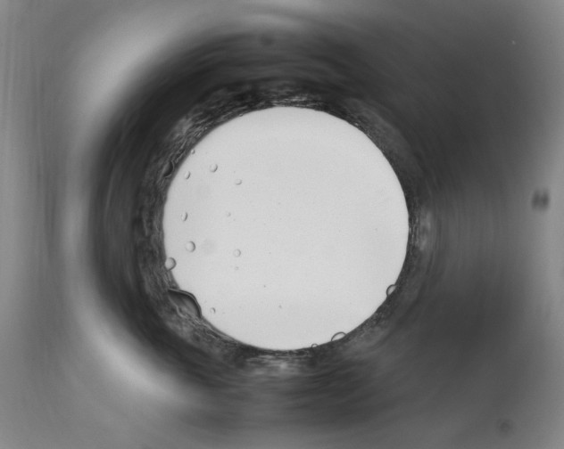 X0000112370763200909241149