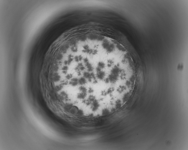 X0000112370765200909241149