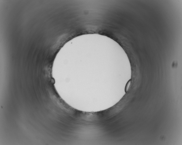 X0000112370768200909241150