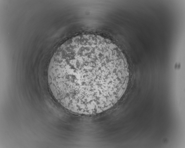 X0000112370769200909241149