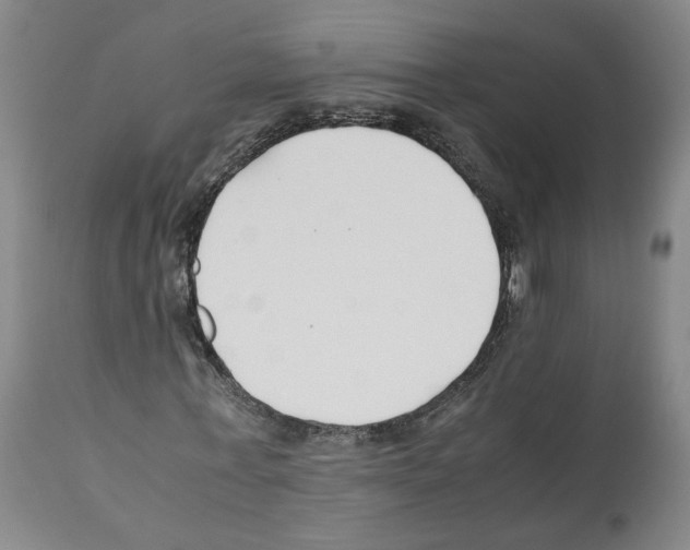 X0000112370771200909241149