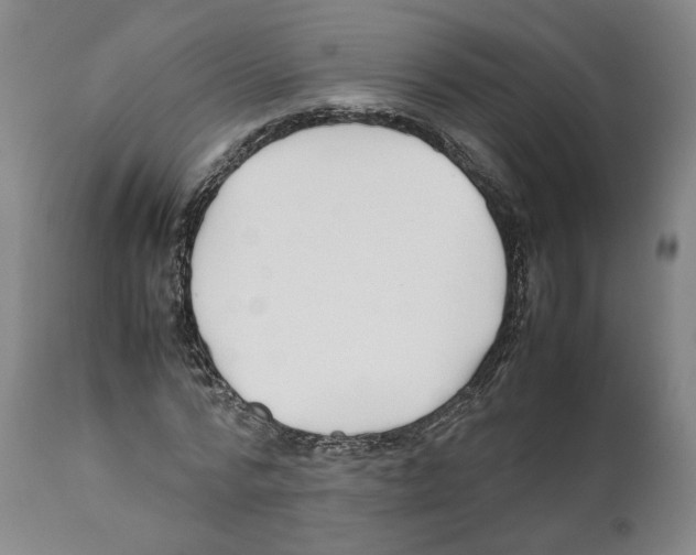 X0000112370776200909241149