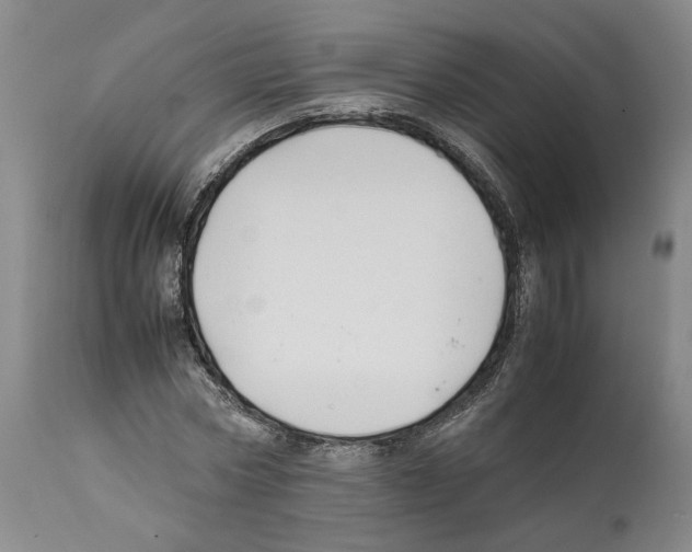 X0000112370778200909241149