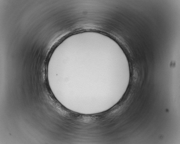 X0000112370782200909241149
