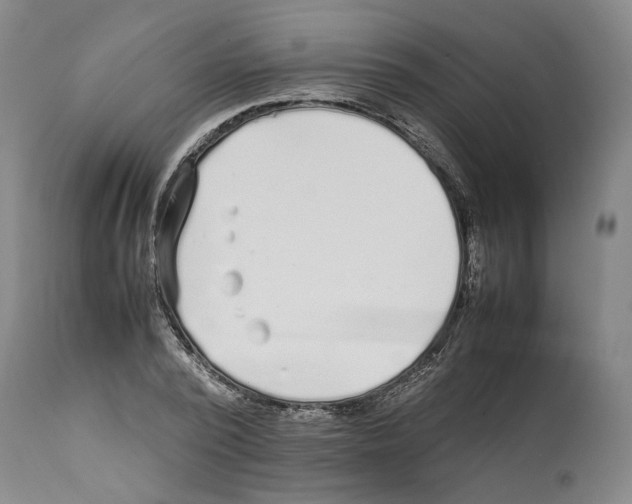 X0000112370784200909241149