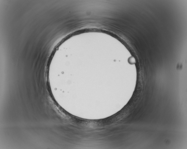 X0000112370791200909241148