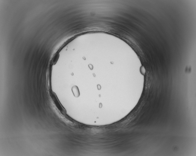 X0000112370796200909241148