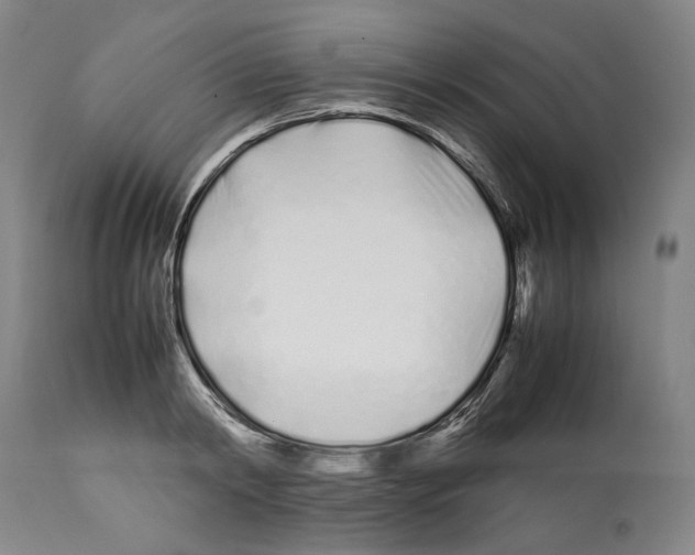 X0000112370798200909241148