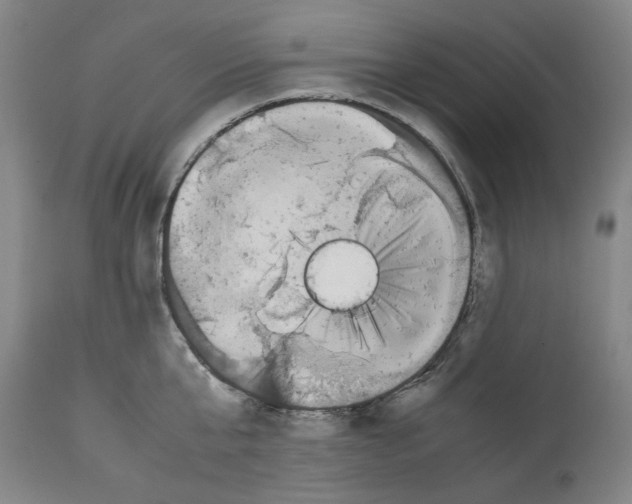 X0000112370807200909241148