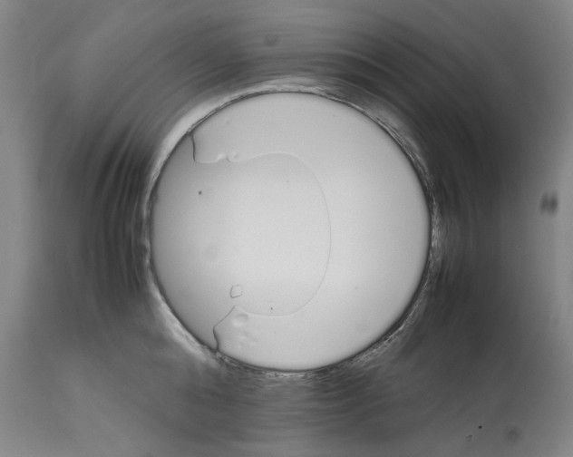 X0000112370808200909241148