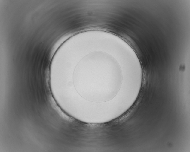 X0000112370812200909241148