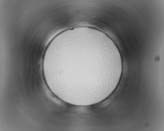 X0000112370814200909241148