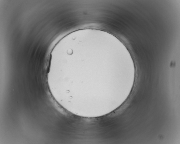 X0000112370816200909241148