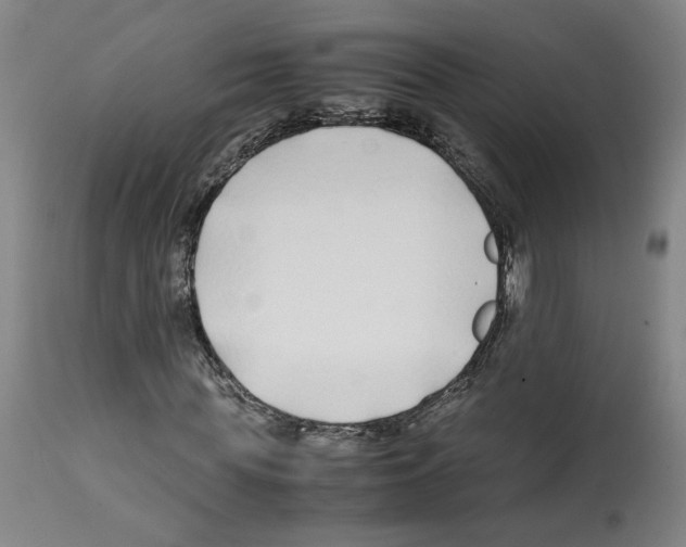 X0000112370819200909241147