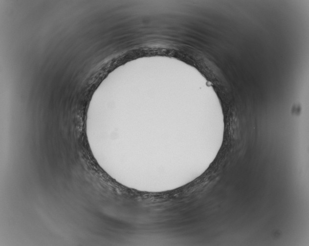 X0000112370821200909241147