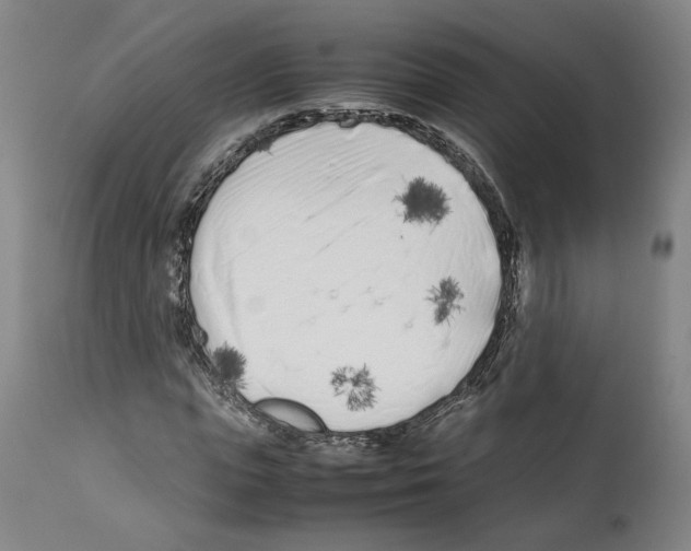 X0000112370823200909241147