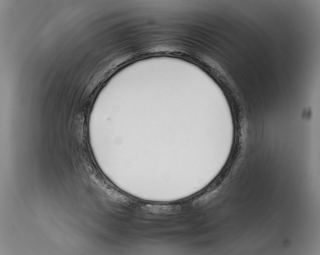 X0000112370825200909241147