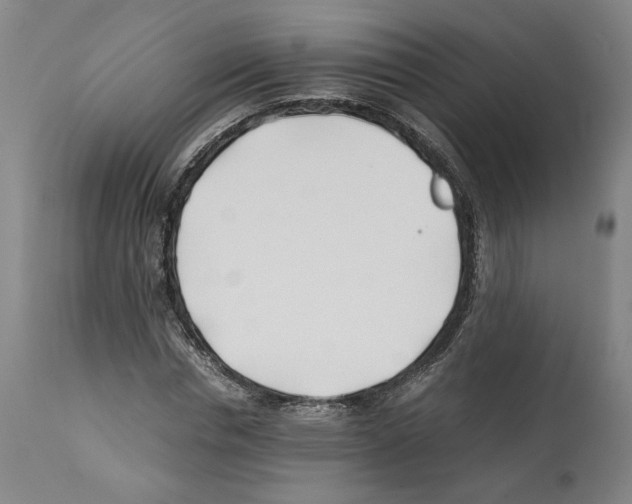X0000112370826200909241147