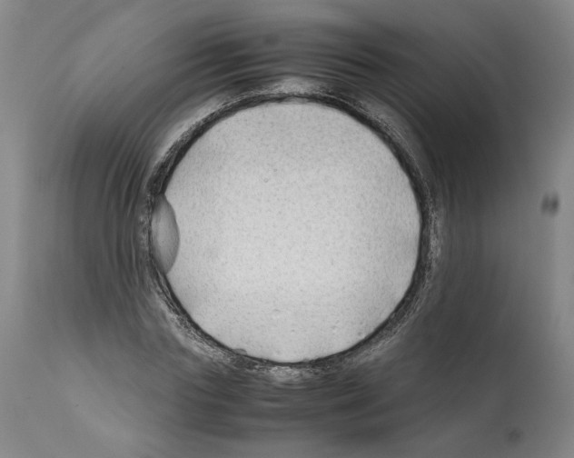 X0000112370827200909241147