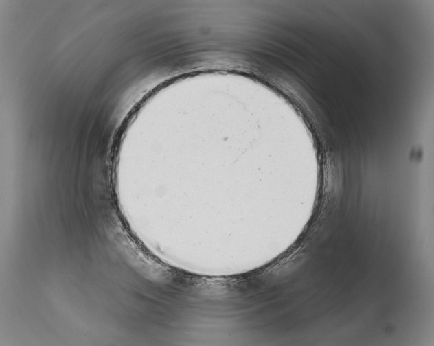 X0000112370828200909241147