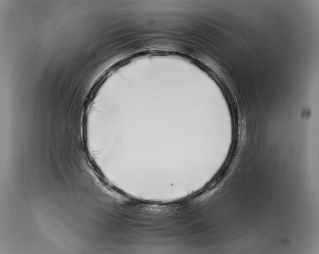X0000112370829200909241147