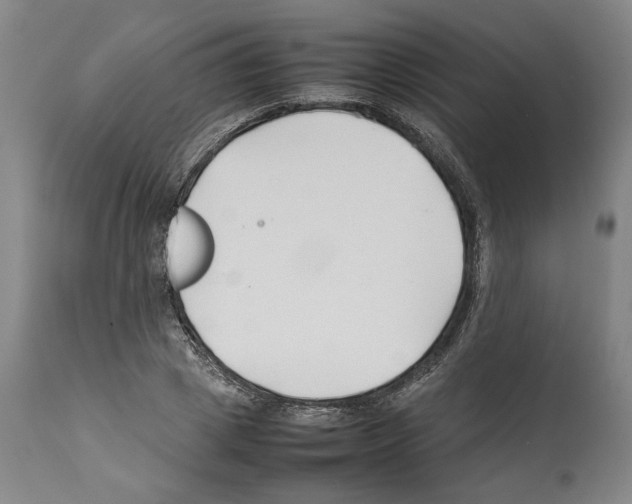X0000112370833200909241147
