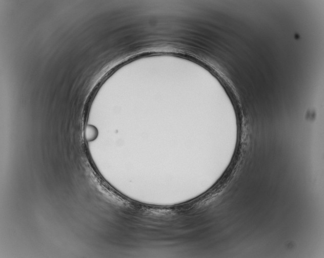 X0000112370837200909241147