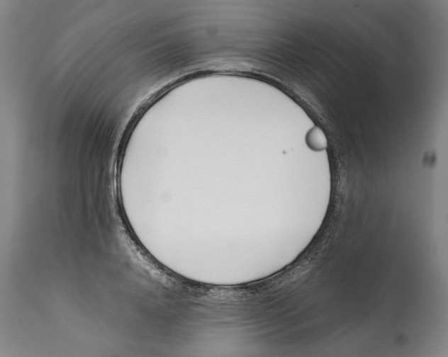 X0000112370840200909241147