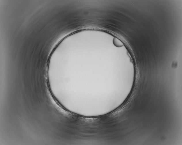 X0000112370847200909241147