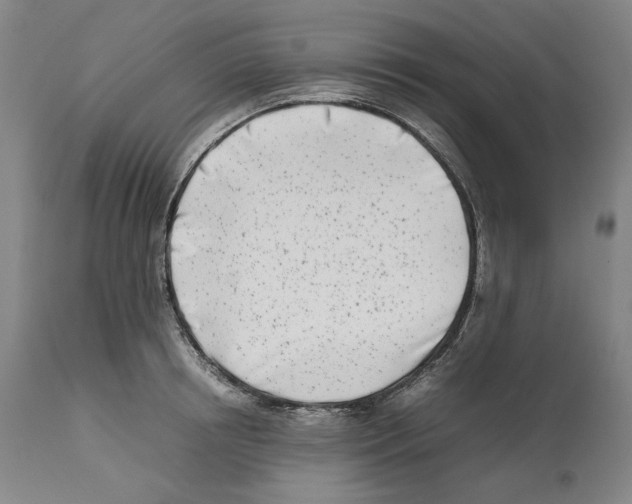 X0000112370850200909241148