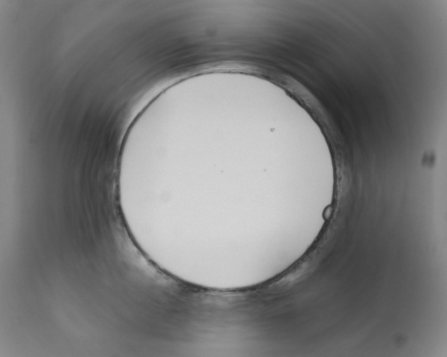 X0000112370860200909241148