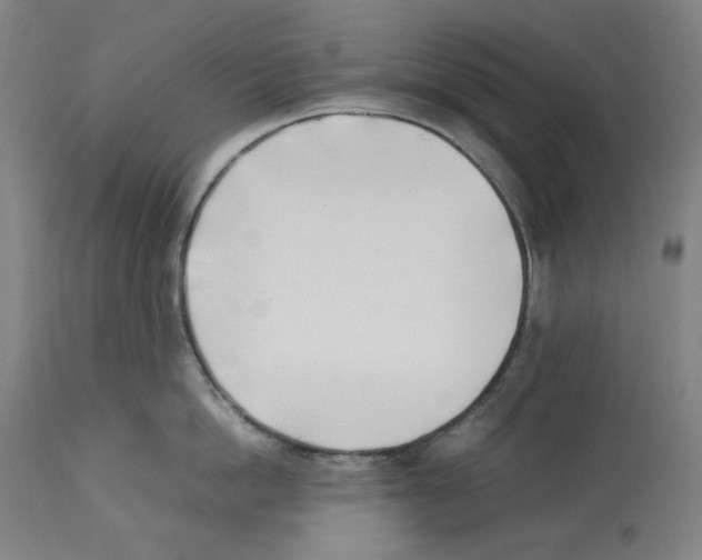 X0000112370862200909241148