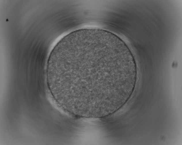 X0000112370864200909241148