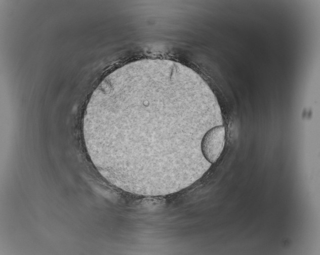 X0000112370865200909241147
