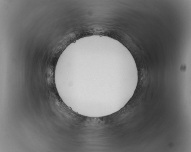 X0000112370866200909241147