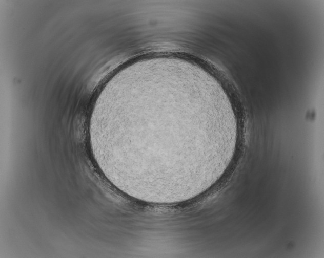 X0000112370873200909241147