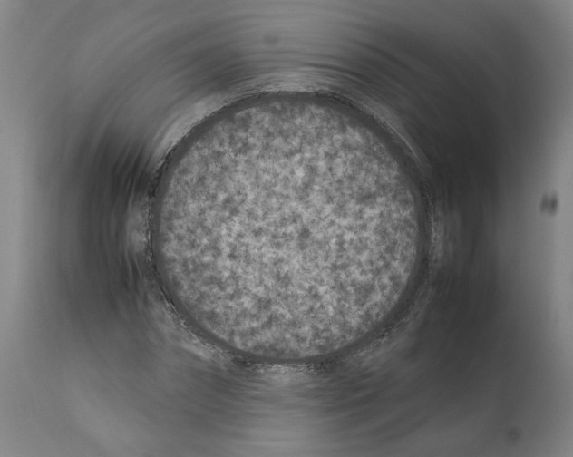 X0000112370874200909241147