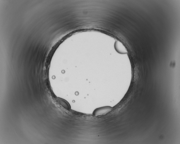 X0000112370876200909241147