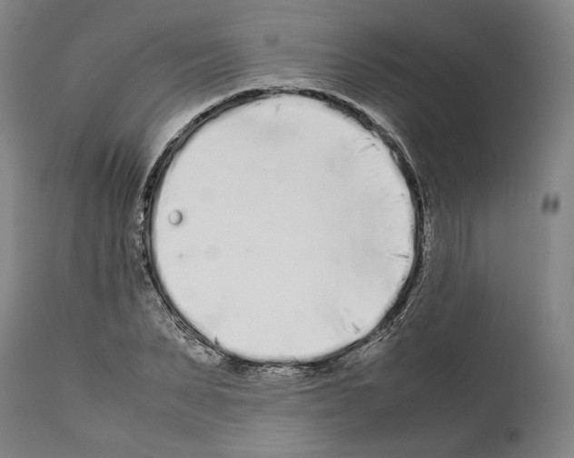 X0000112370879200909241147