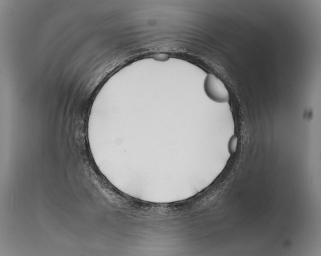 X0000112370881200909241147
