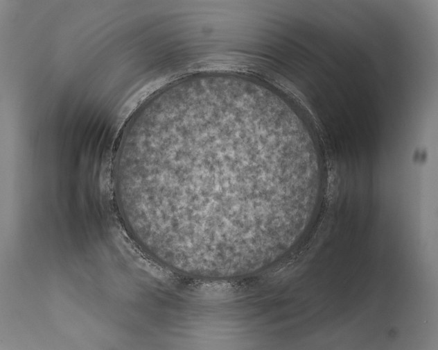 X0000112370882200909241147